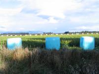 Albums/20060200-New Zealand 2006/20060212-south/34